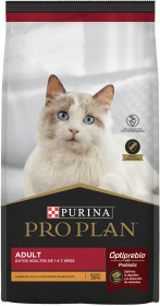 Cat Adult